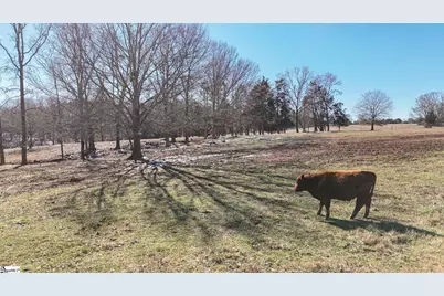 414 Giggle Drive, Laurens, SC 29360 - Photo 25