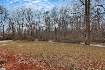 536 Old Mill Road, Campobello, SC 29322 - Photo 21