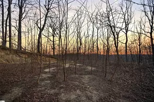 12 Hideaway Hill Way, Landrum, SC 29356 - Photo 11