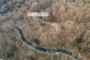 12 Hideaway Hill Way, Landrum, SC 29356 - Photo 15