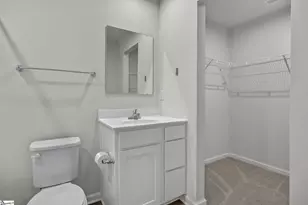 220 Juglans Way, Greer, SC 29651 - Photo 19