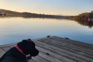 118 Sunset Dr, Inman, SC 29349 - Photo 41