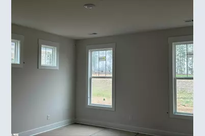 120 Terpack Court, Gray Court, SC 29645 - Photo 5