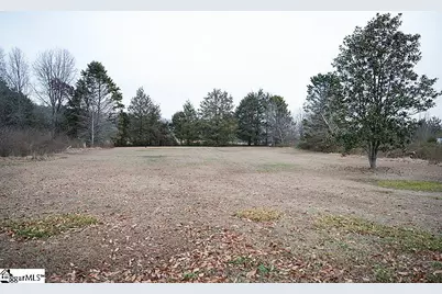 16089 Highway 101 S Highway, Gray Court, SC 29645 - Photo 21