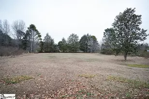 16089 Hwy 101 S Hwy, Gray Court, SC 29645 - Photo 21