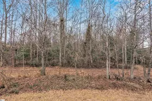 236 Garfield Ln, Simpsonville, SC 29681 - Photo 31