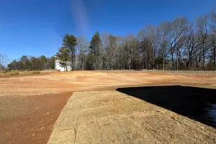 910 Alexander Rd, Taylors, SC 29687 - Photo 29