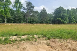 729 Holliday Dam Rd, Honea Path, SC 29654 - Photo 9