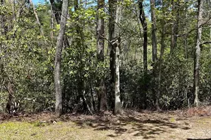 107 Brendart Hill Rd, Sunset, SC 29685 - Photo 39