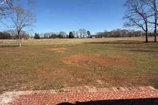 0 Berry Rd, Pelzer, SC 29669 - Photo 9