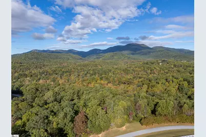 100 Pardo Road, Landrum, SC 29356 - Photo 3