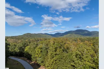 100 Pardo Road, Landrum, SC 29356 - Photo 13