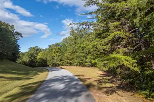 100 Pardo Rd, Landrum, SC 29356 - Photo 11