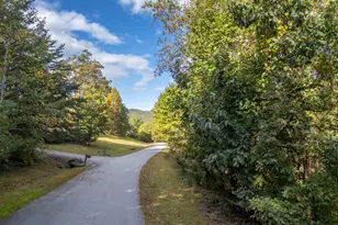 100 Pardo Rd, Landrum, SC 29356 - Photo 9