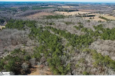 0 Gene Fleming Road #(Lot 1), Abbeville, SC 29655 - Photo 19