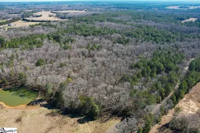 0 Gene Fleming Road #(Lot 1), Abbeville, SC 29655 - Photo 9