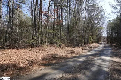 0 Gene Fleming Road #(Lot 2), Abbeville, SC 29655 - Photo 5