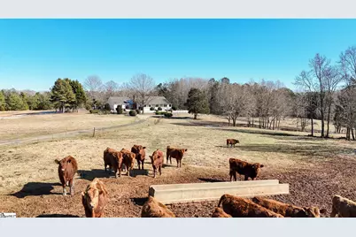 414 Giggle Drive, Laurens, SC 29360 - Photo 29