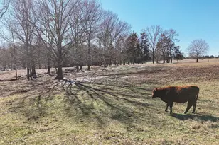 414 Giggle Dr, Laurens, SC 29360 - Photo 25