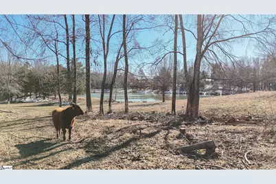 414 Giggle Drive, Laurens, SC 29360 - Photo 31