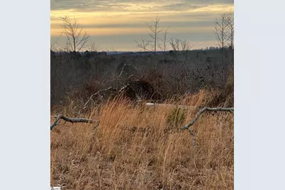 165 Still Lake Trail, Greer, SC 29651 - Photo 9