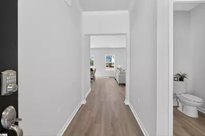 225 White Fields Avenue, Fountain Inn, SC 29644 - Photo 3