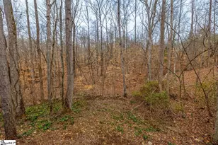 102 Blossom Ct, Westminster, SC 29693 - Photo 15