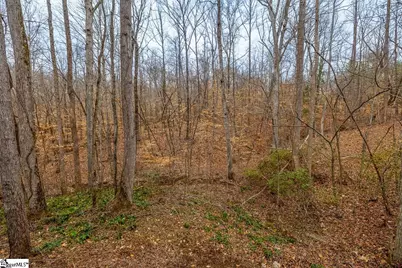 102 Blossom Court, Westminster, SC 29693 - Photo 13