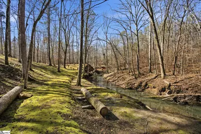 1602 Klugh Road, Abbeville, SC 29620 - Photo 37