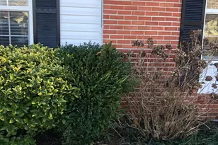 414 Lanewood Dr, Greenville, SC 29607 - Photo 11