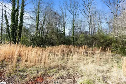 1019 Rutherford Road, Greenville, SC 29609 - Photo 37