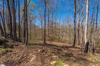 6 Bagwell Place, Spartanburg, SC 29302 - Photo 5