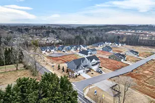 1009 Horse Whisper Run, Landrum, SC 29356 - Photo 47