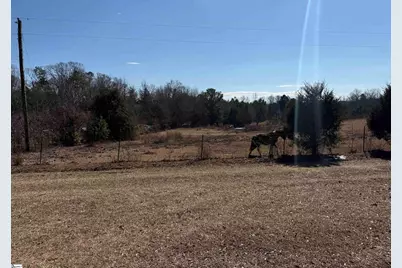 895 Mahaffey Cooley Road, Chesnee, SC 29323 - Photo 7