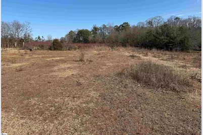 895 Mahaffey Cooley Road, Chesnee, SC 29323 - Photo 17