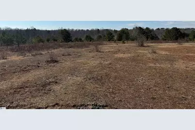 895 Mahaffey Cooley Road, Chesnee, SC 29323 - Photo 3