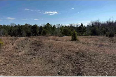 895 Mahaffey Cooley Road, Chesnee, SC 29323 - Photo 19