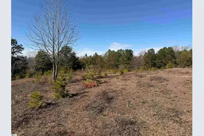 895 Mahaffey Cooley Road, Chesnee, SC 29323 - Photo 23