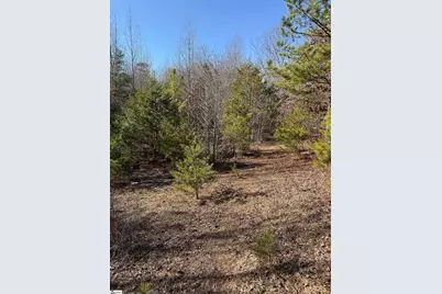 895 Mahaffey Cooley Road, Chesnee, SC 29323 - Photo 37