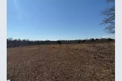 895 Mahaffey Cooley Road, Chesnee, SC 29323 - Photo 13