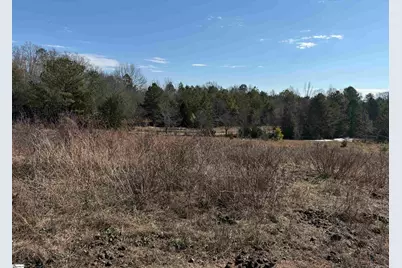 895 Mahaffey Cooley Road, Chesnee, SC 29323 - Photo 15