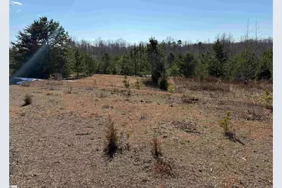 895 Mahaffey Cooley Road, Chesnee, SC 29323 - Photo 25