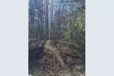 895 Mahaffey Cooley Road, Chesnee, SC 29323 - Photo 39