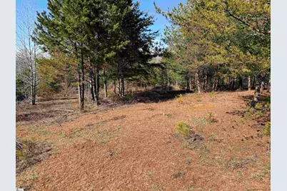 895 Mahaffey Cooley Road, Chesnee, SC 29323 - Photo 29