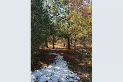 895 Mahaffey Cooley Road, Chesnee, SC 29323 - Photo 35