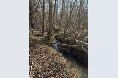 895 Mahaffey Cooley Road, Chesnee, SC 29323 - Photo 41