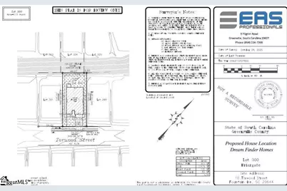 10 Torwood Street, Fountain Inn, SC 29644 - Photo 7