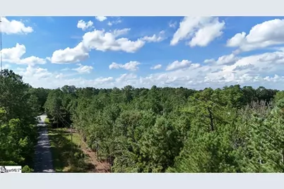 0A Neighbors Road, Clinton, SC 29325 - Photo 5