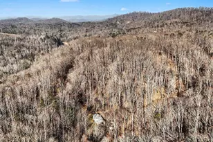 60 Chestnut Mountain Rd, Travelers Rest, SC 29690 - Photo 27