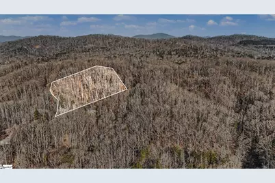 60 Chestnut Mountain Road, Travelers Rest, SC 29690 - Photo 29